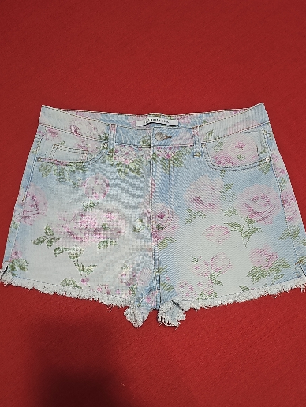 Celebrity Pink Light Blue Floral Denim Shorts
